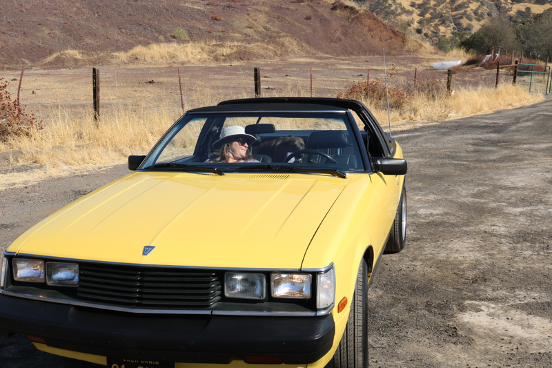 Illustration for article titled Sunchaser Road Trip Photodump.